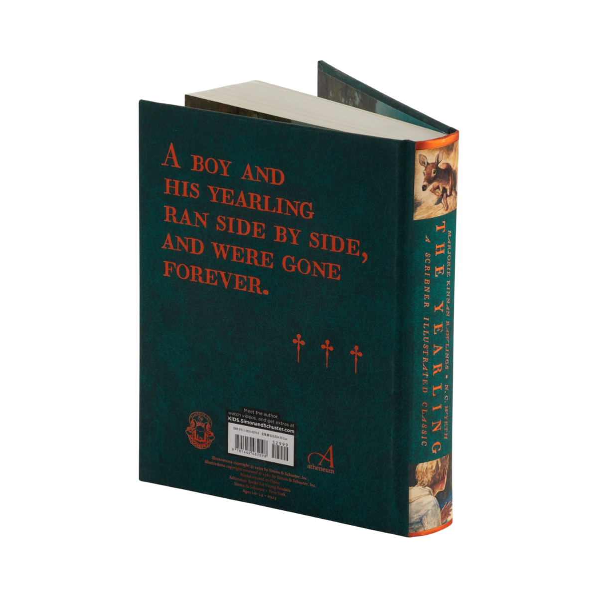 The back cover and spine of the book 'The Yearling' by Marjorie Kinnan Rawling, featuring a dark teal-green background with orange text and illustrations of a deer on the spine, shown on a plain white background.