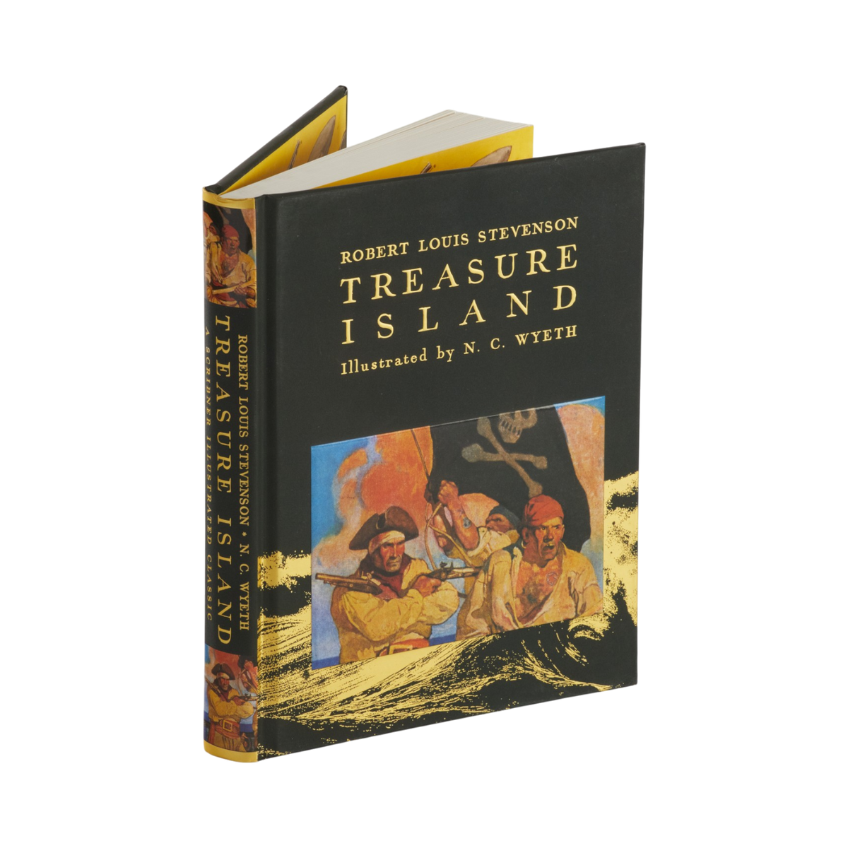 A hardcover book titled "Treasure Island" by Robert Louis Stevenson, illustrated by N. C. Wyeth.