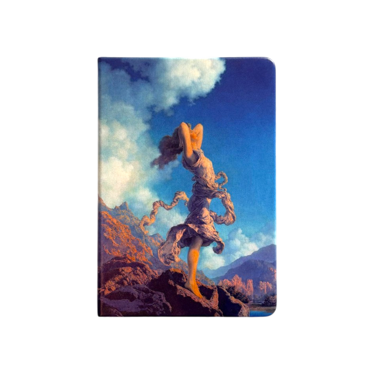 Parrish Ecstasy Hardcover Notebook