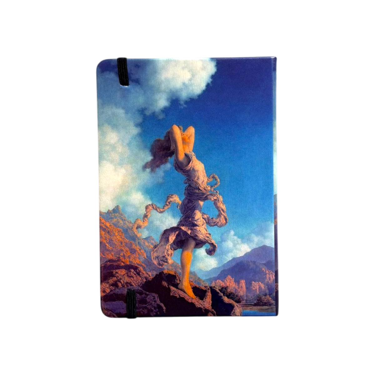 Parrish Ecstasy Hardcover Notebook