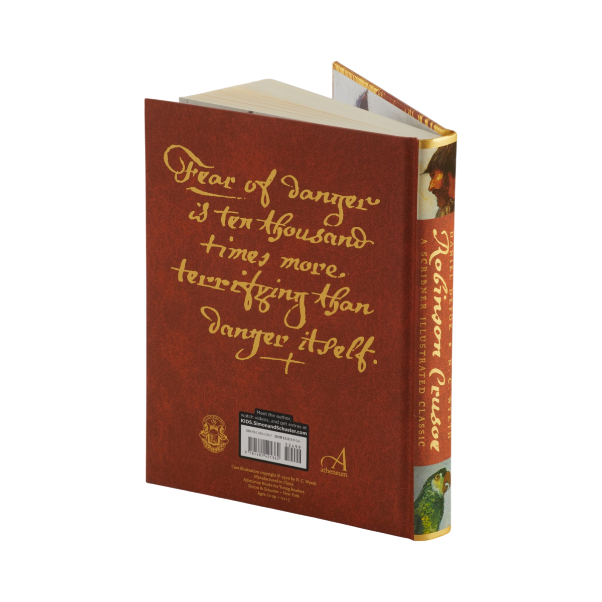 A hardcover book of Daniel Defoe's 'Robinson Crusoe' illustrated by N. C. Wyeth, shown from a three-quarters angle to display both the textured reddish-brown back cover with gold lettering and the spine.
