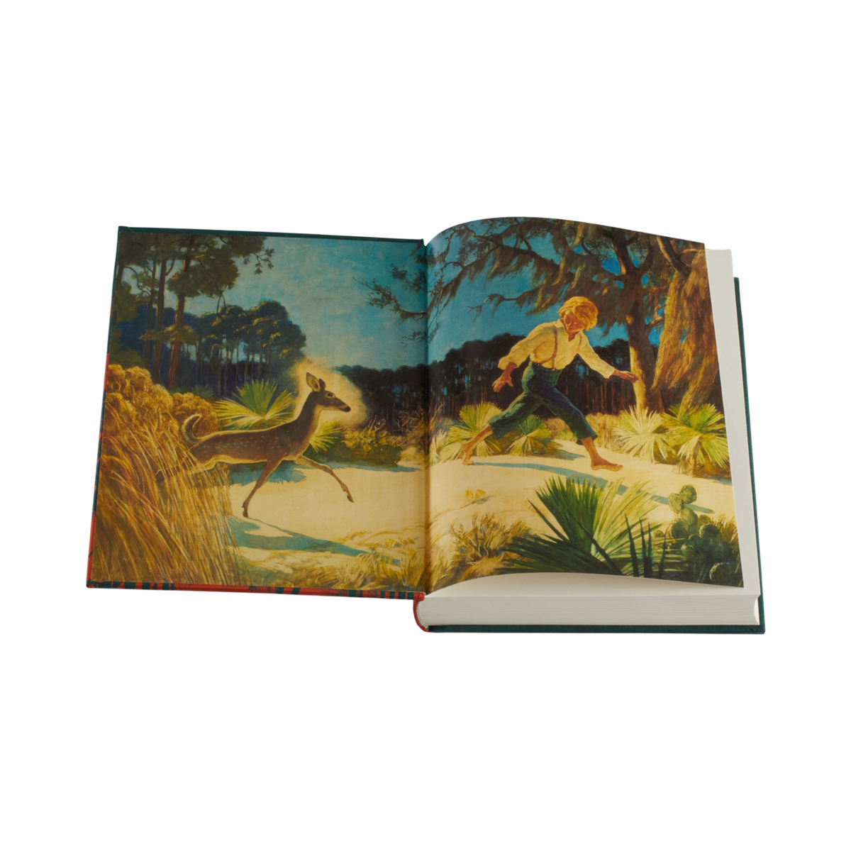 An open vintage children's book showing a colorful illustrated forest scene with a deer on the left page and a child running through the woods on the right page, photographed against a plain white background.