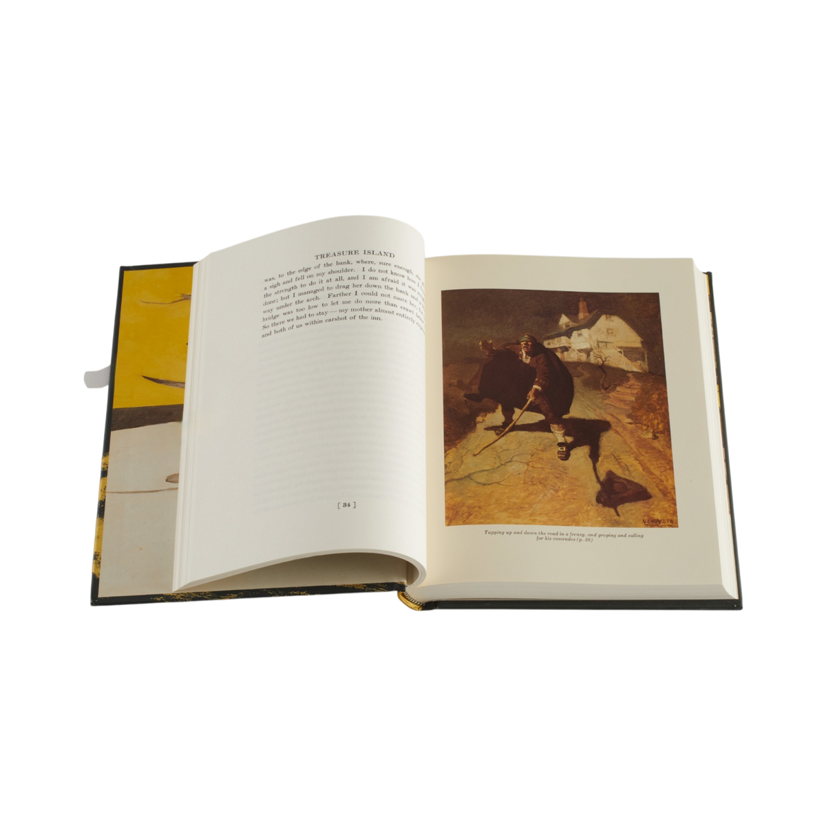 An open hardcover book on a plain white background, showing a printed text page on the left and a reproduction of a painting on the right.