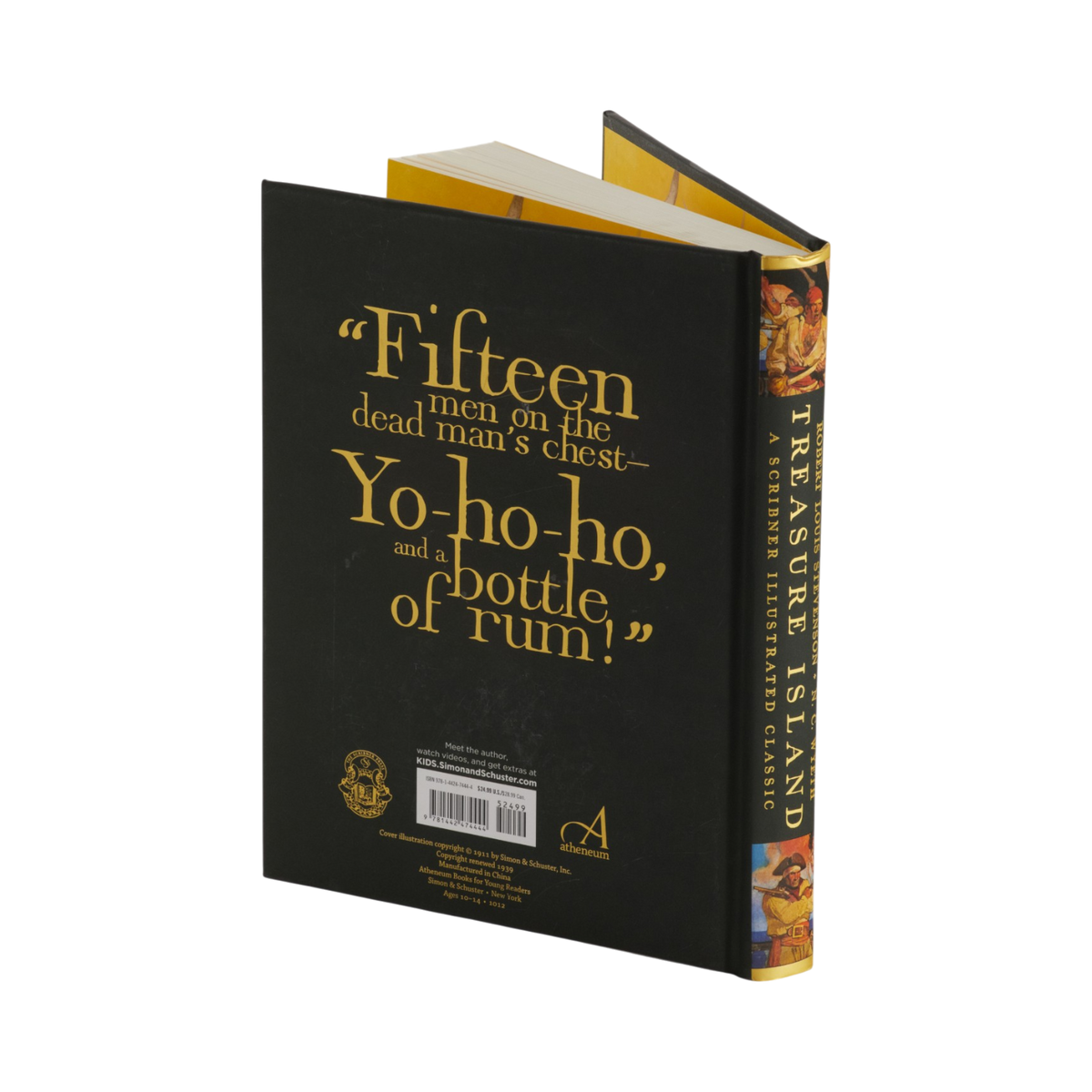 A hardcover book titled 'The Treasure Island' shown at an angle, featuring a  dark cover with gold lettering and a gold spine, photographed on a clean white background.